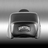 Harley Seat