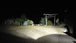 GMC Lights